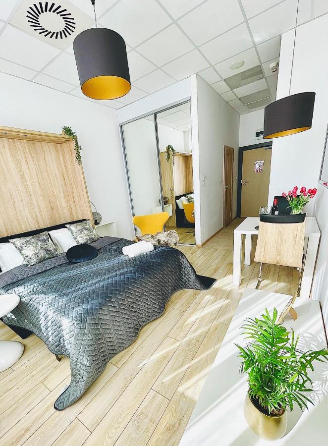 Apartament typu studio