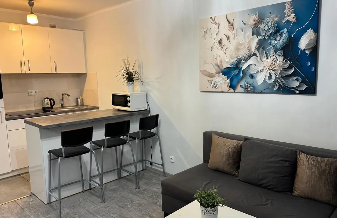 Coser Apartamenty Grzybowska-1