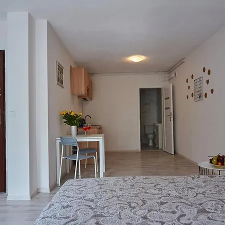Regem Apartments Plonska-3