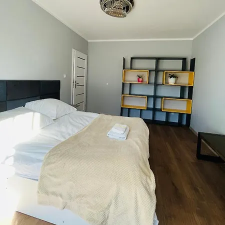 Comfy Guest Apartment-2