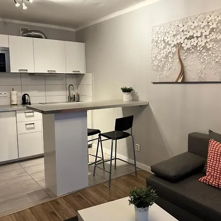 Coser Apartamenty Grzybowska-2